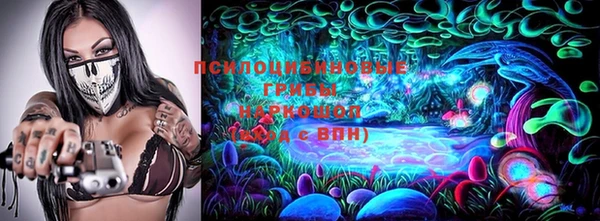 МДПВ Алексин