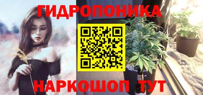 дмт Тула